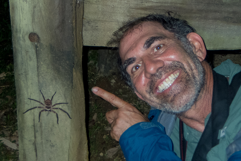 bob with spider